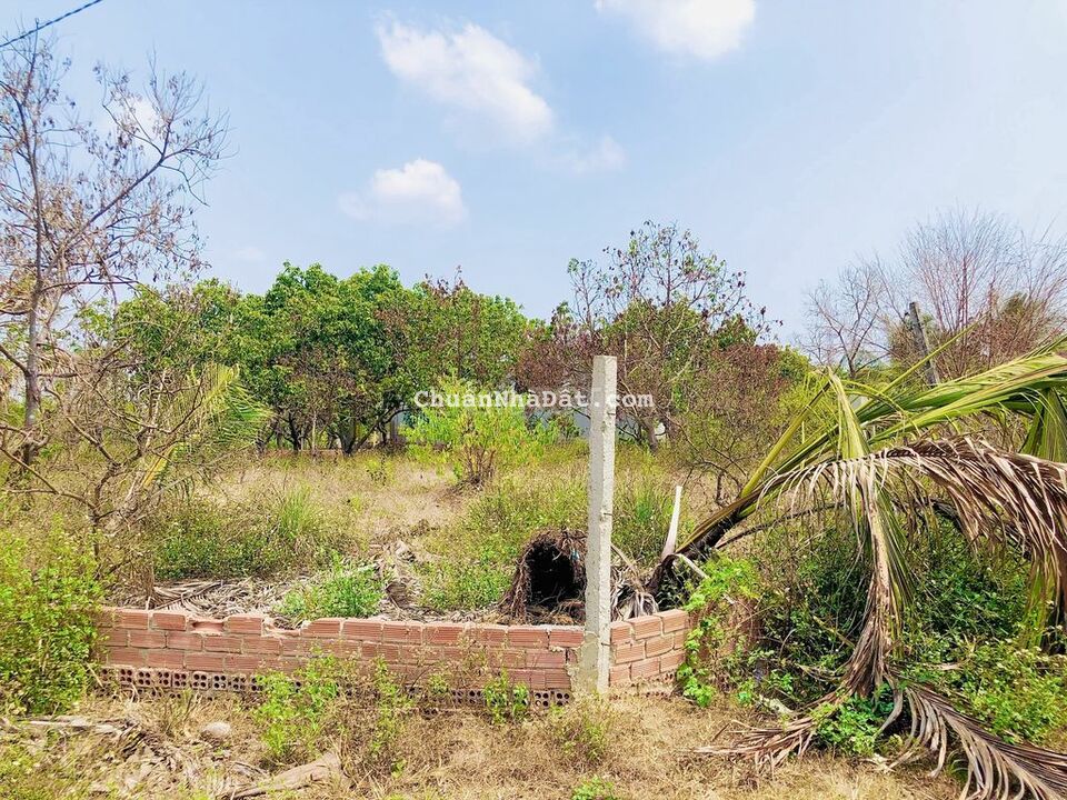 Chủ Cần Bán Đất SHR Sẵn 300m2 Thổ Cư Đã Xây Bao Sẵn Chủ Cần Bán Đất SHR Sẵn 300m2 Thổ Cư Đã Xây Bao Sẵn