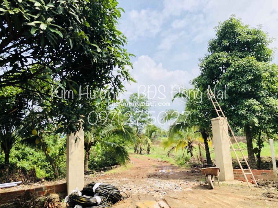 Chủ Cần Bán Đất SHR Sẵn 300m2 Thổ Cư Đã Xây Bao Sẵn Chủ Cần Bán Đất SHR Sẵn 300m2 Thổ Cư Đã Xây Bao Sẵn