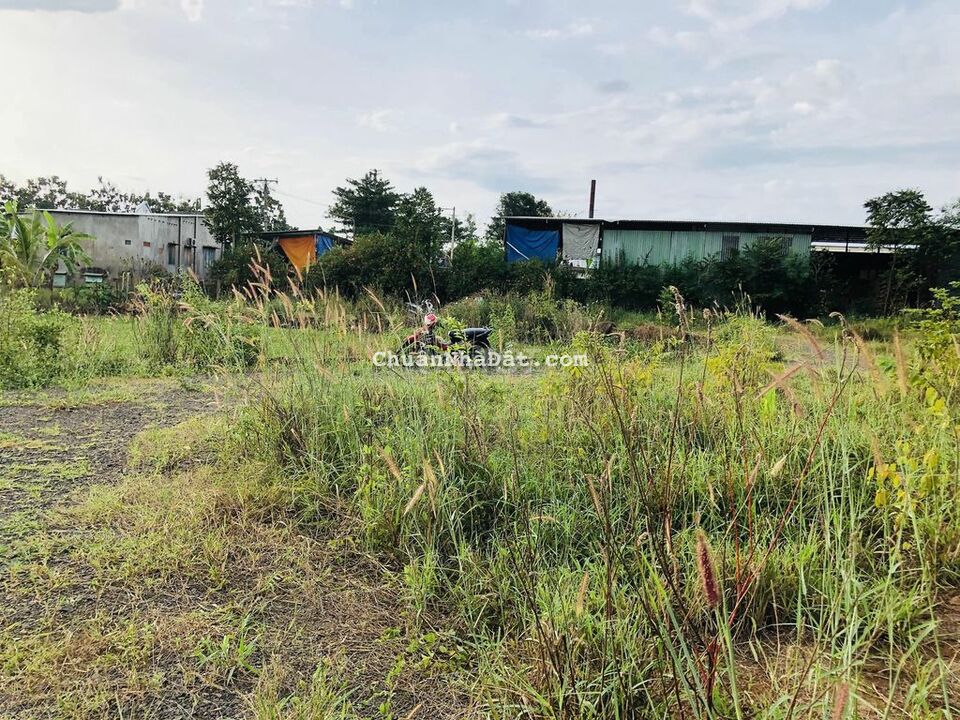 Hơn Nửa Sào Giá Chưa Đến 400TR Có SHR Hơn Nửa Sào Giá Chưa Đến 400TR Có SHR