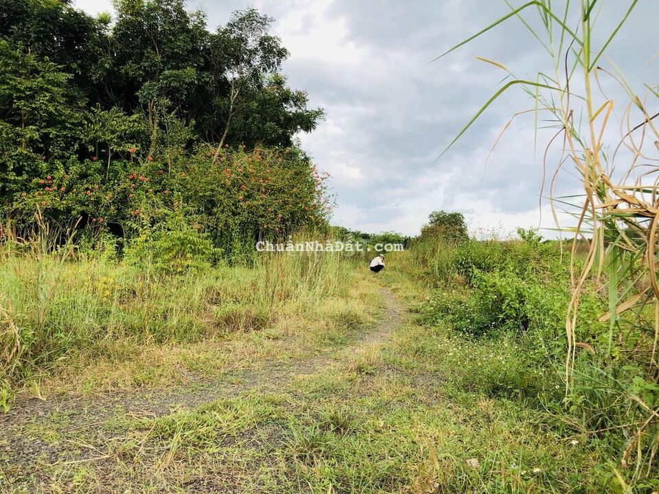 Hơn Nửa Sào Giá Chưa Đến 400TR Có SHR Hơn Nửa Sào Giá Chưa Đến 400TR Có SHR