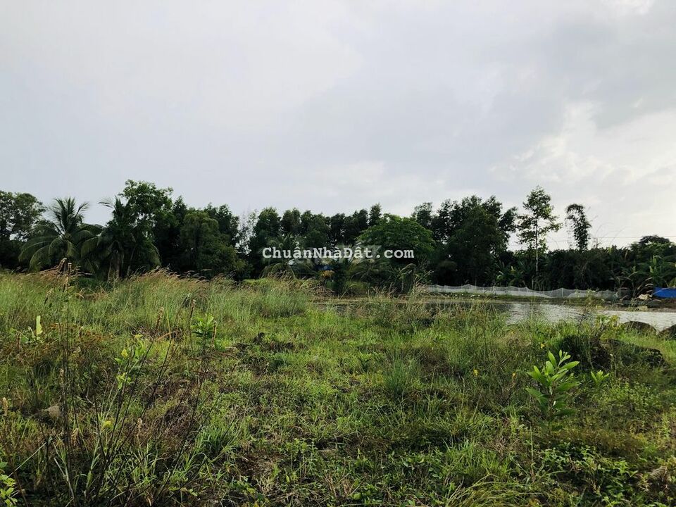 Hơn Nửa Sào Giá Chưa Đến 400TR Có SHR Hơn Nửa Sào Giá Chưa Đến 400TR Có SHR