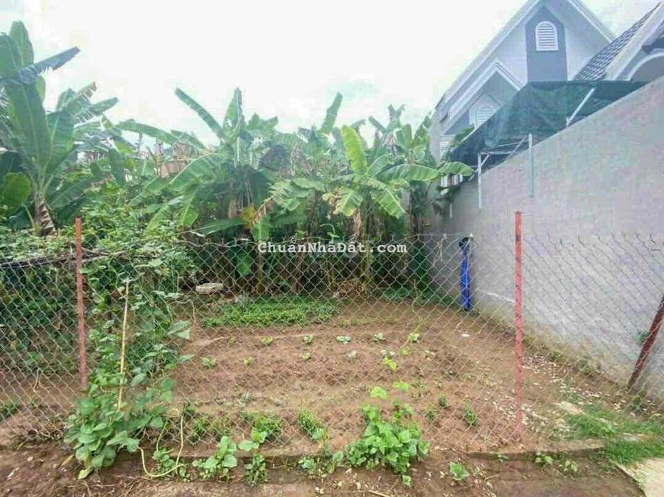 Bán Nền Hẻm 61 xe ôtô - Đường Mậu Thân 2 - Phường 3 - Vĩnh Long