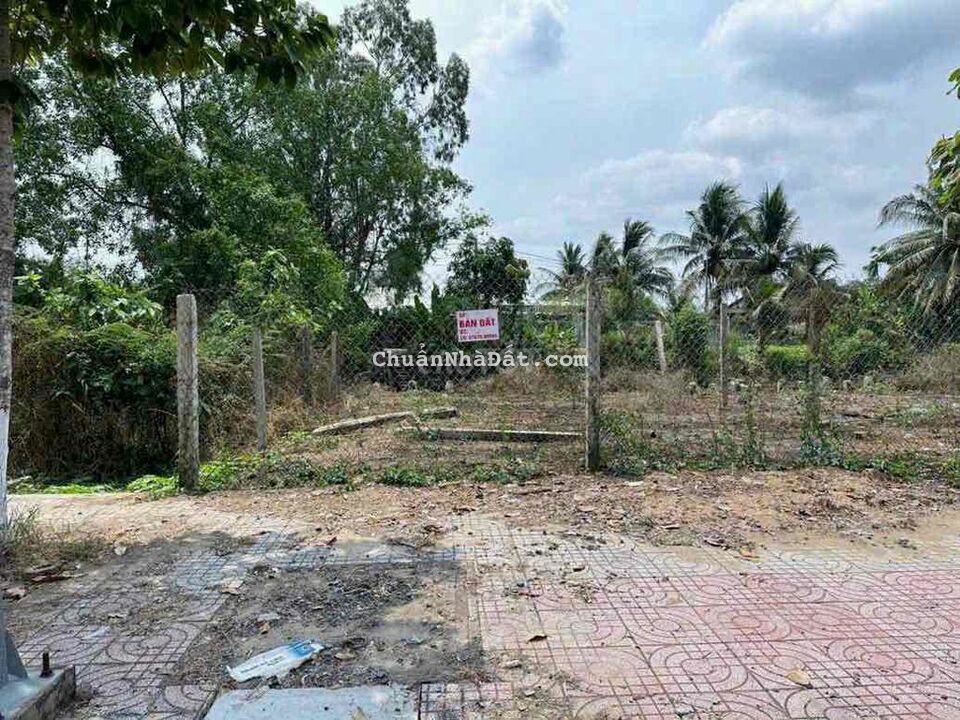 Bán 3 Nền Đường Sinh Thái Số 3 - Cồn Chim - Vĩnh Long Bán 3 Nền Đường Sinh Thái Số 3 - Cồn Chim - Vĩnh Long