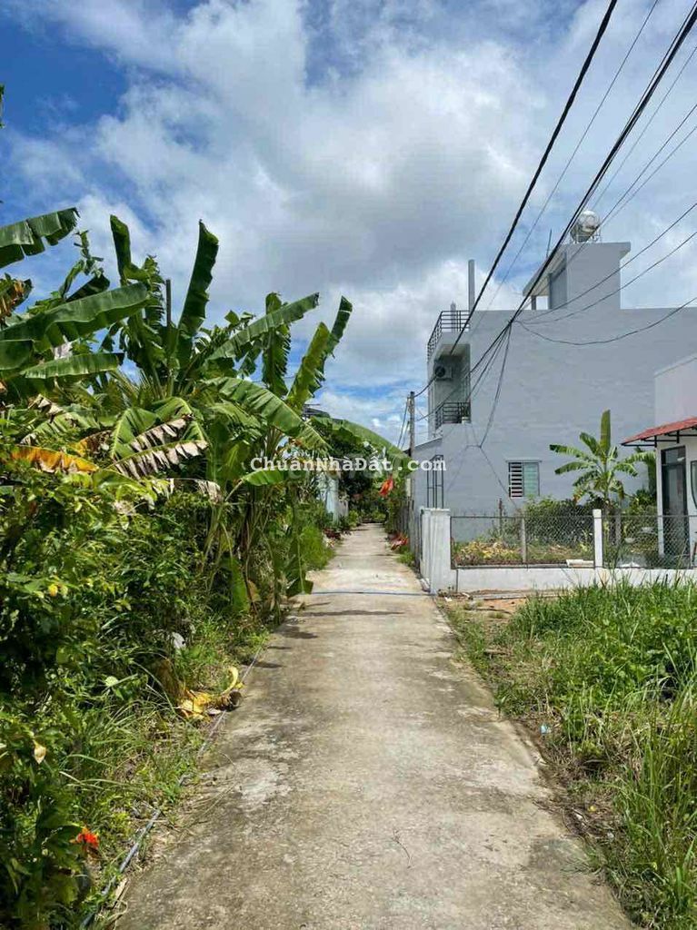 NỀN THỔ CƯ HẺM MẬU THÂN CẤT NHÀ NGAY.PHƯỜNG 3