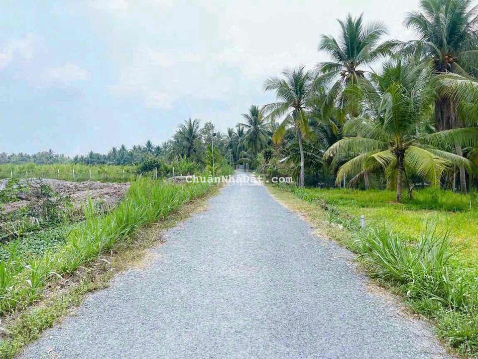 Bán Nền 630tr Gần Cầu Quang Phú - Vũng Liêm - Vĩnh Long