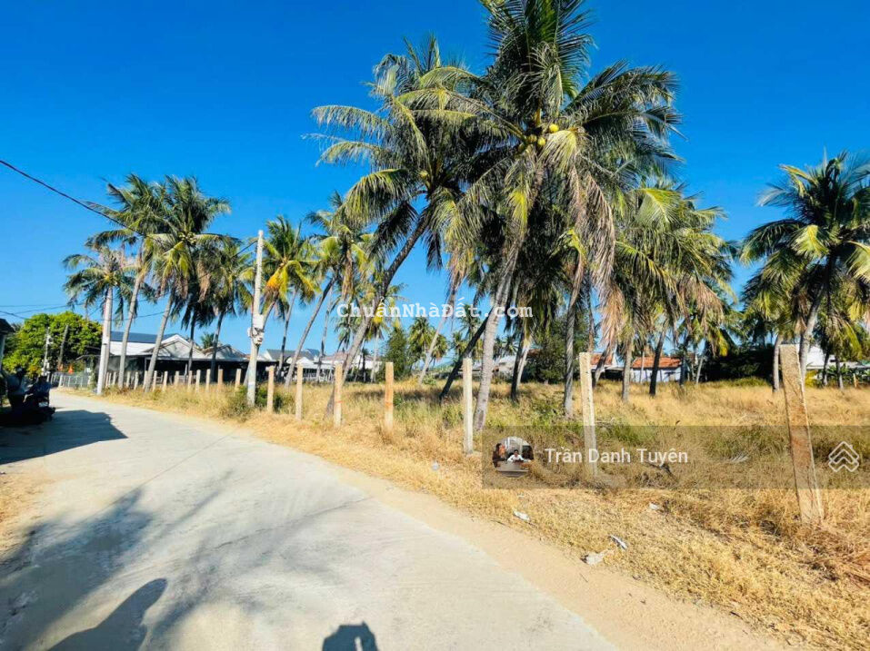 Đất của nhà tôi - cần bán 300m2 đất khu Láng Dứa, Vạn Thắng - Bắc Vân Phong, Khánh Hòa Đất của nhà tôi - cần bán 300m2 đất khu Láng Dứa, Vạn Thắng - Bắc Vân Phong, Khánh Hòa