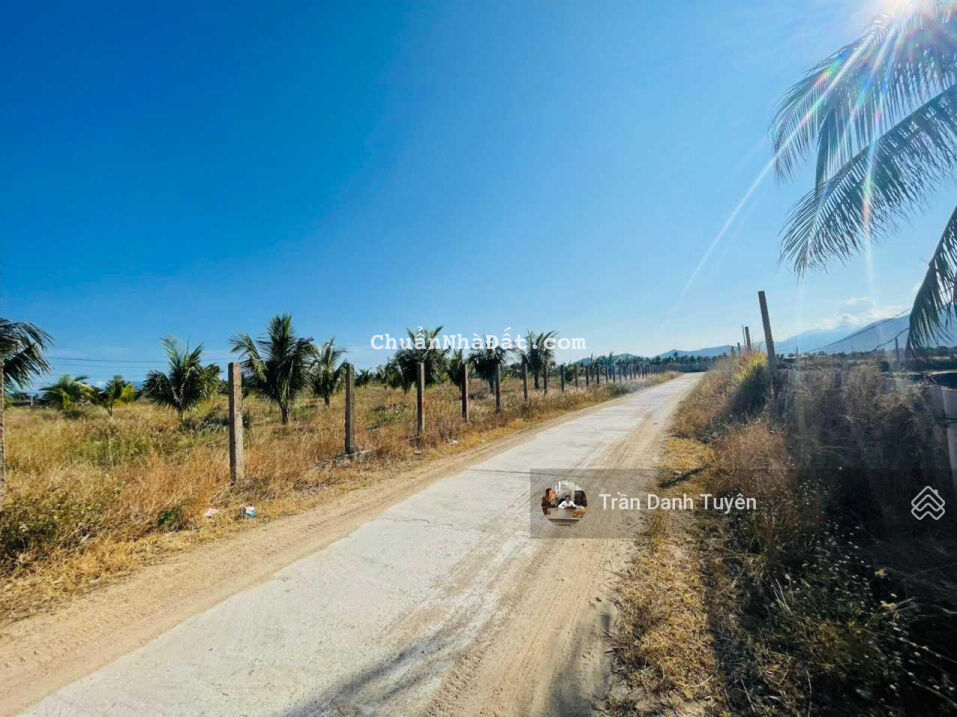 Đất của nhà tôi - cần bán 300m2 đất khu Láng Dứa, Vạn Thắng - Bắc Vân Phong, Khánh Hòa Đất của nhà tôi - cần bán 300m2 đất khu Láng Dứa, Vạn Thắng - Bắc Vân Phong, Khánh Hòa