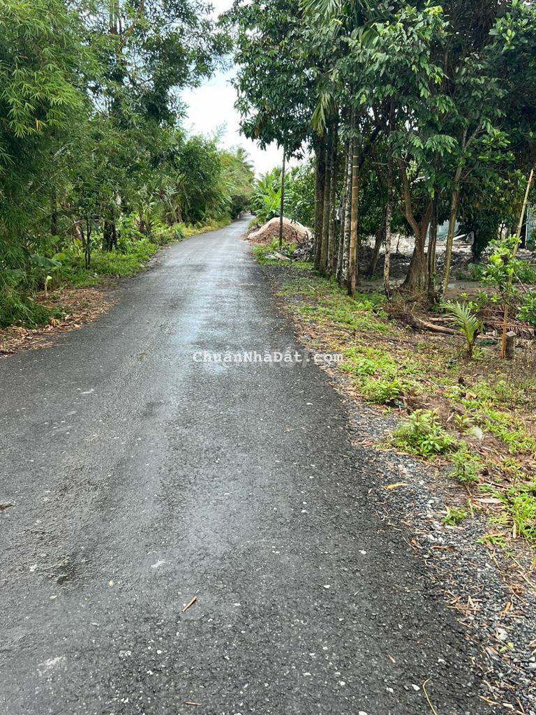 500m2 mặt tiền lộ nhựa, Vị Thuỷ, Hậu Giang