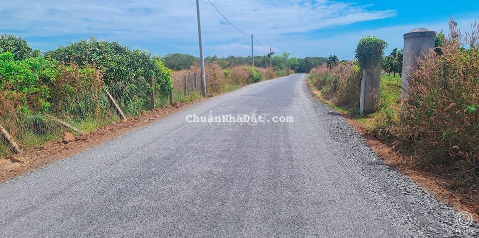 BÁN ĐẤT PHƯỚC TÂN XUYÊN MỘC BÀ RỊA CŨNG TÀU DT1073 BÁN ĐẤT PHƯỚC TÂN XUYÊN MỘC BÀ RỊA CŨNG TÀU DT1073