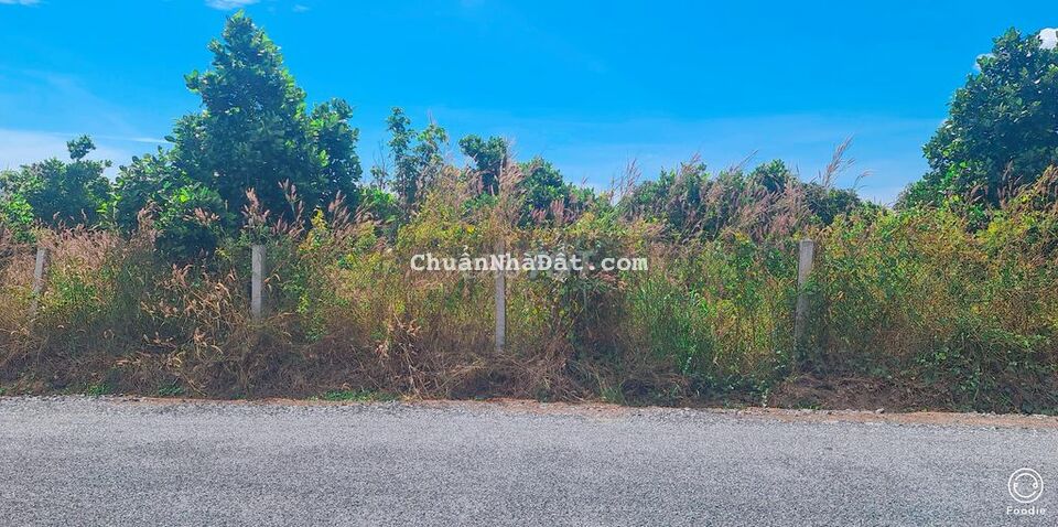 BÁN ĐẤT PHƯỚC TÂN XUYÊN MỘC BÀ RỊA CŨNG TÀU DT1073 BÁN ĐẤT PHƯỚC TÂN XUYÊN MỘC BÀ RỊA CŨNG TÀU DT1073