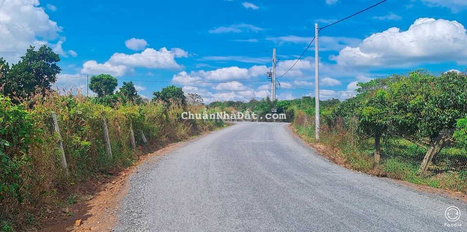 BÁN ĐẤT PHƯỚC TÂN XUYÊN MỘC BÀ RỊA CŨNG TÀU DT1073 BÁN ĐẤT PHƯỚC TÂN XUYÊN MỘC BÀ RỊA CŨNG TÀU DT1073