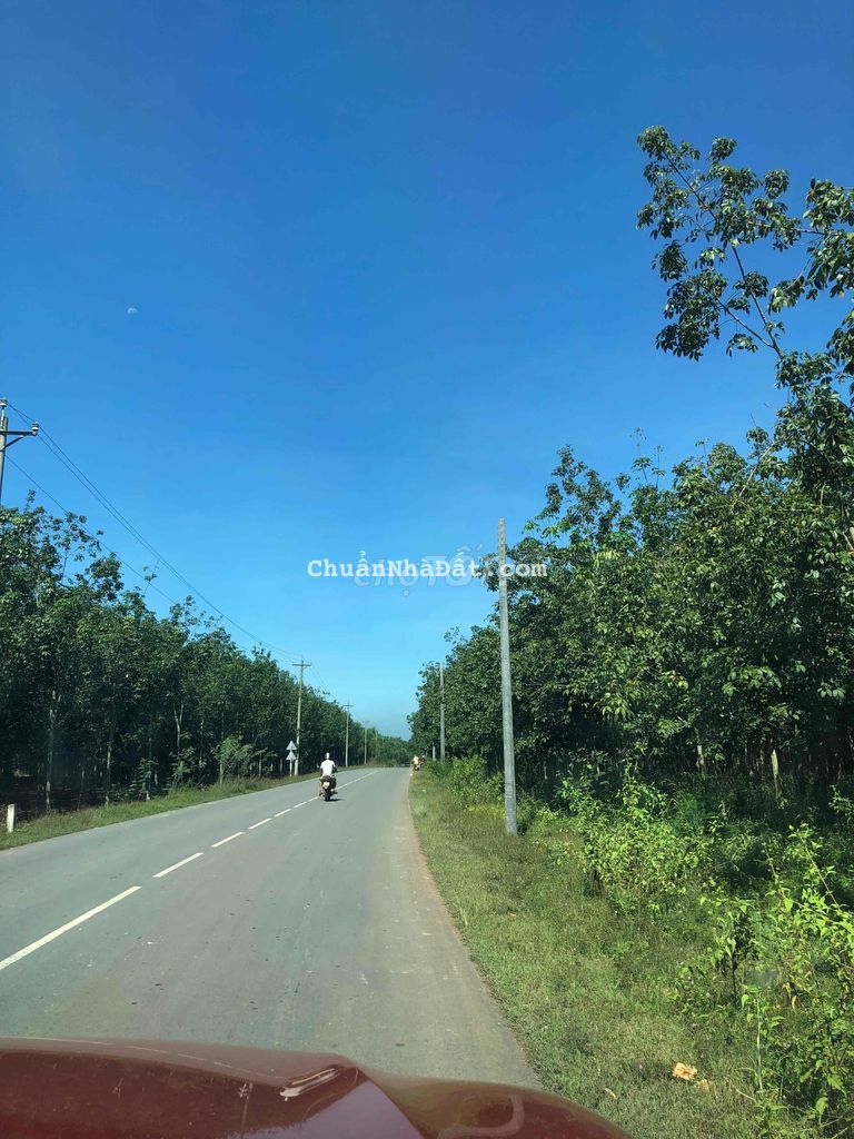 Bán đất mặt tiền nhựa liên xã Suối Cao xuân Thành Bán đất mặt tiền nhựa liên xã Suối Cao xuân Thành