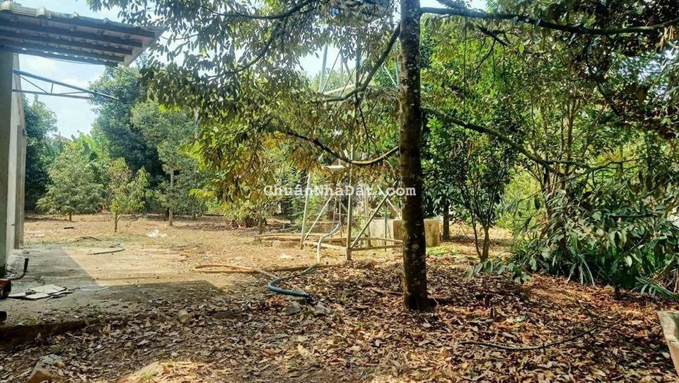 Bán 1,1 sào Xuân Thọ có 100m thổ cư gần MT Xuân Lộc Long KHánh