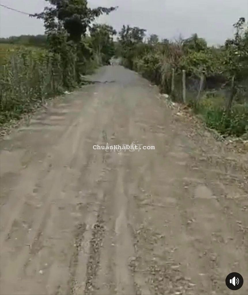 Kẹt tiền bán gấp 1300m2 đất Xuân Thọ chỉ 650 triệu Kẹt tiền bán gấp 1300m2 đất Xuân Thọ chỉ 650 triệu