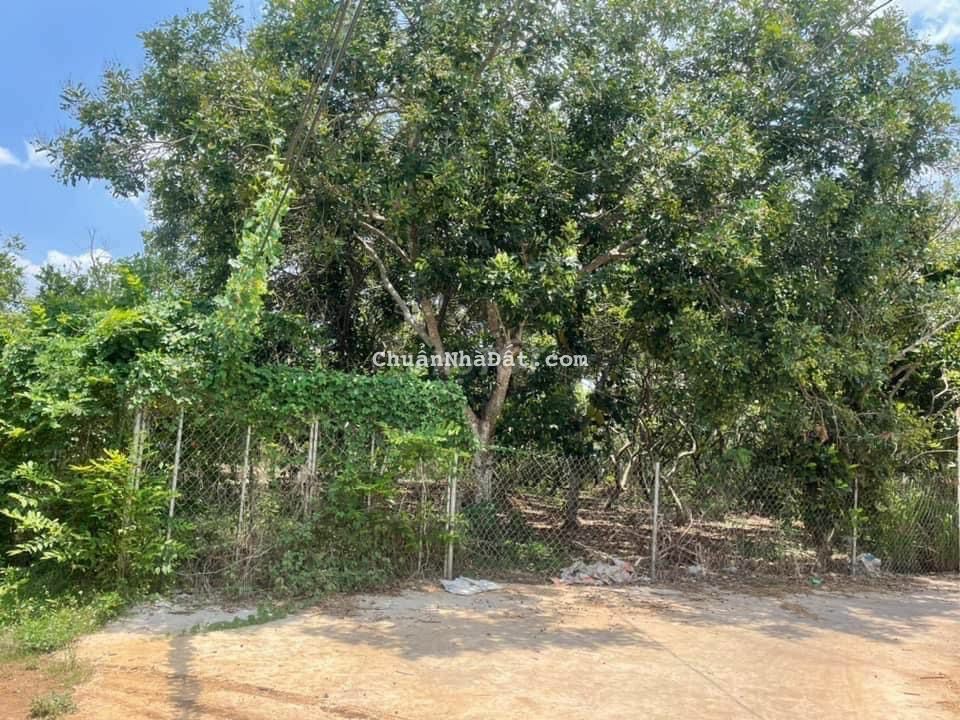 Kẹt tiền bán gấp 1300m2 đất Xuân Thọ chỉ 650 triệu Kẹt tiền bán gấp 1300m2 đất Xuân Thọ chỉ 650 triệu