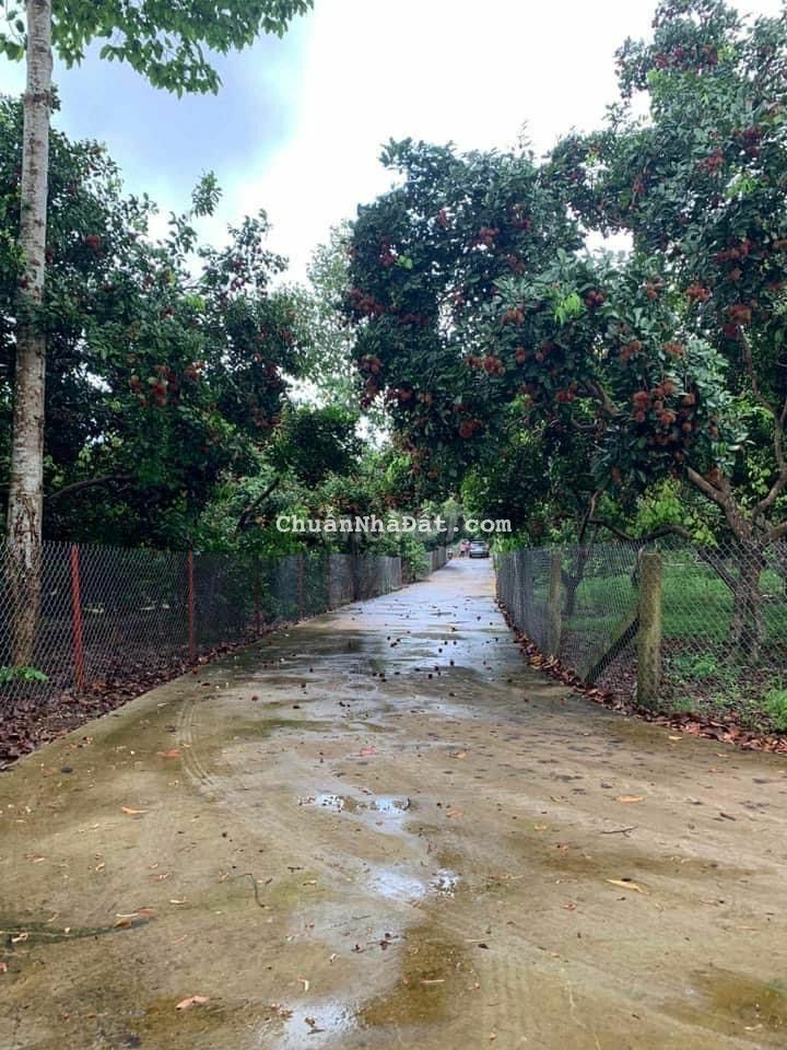 Bán gấp 2 sào Xuân Thọ Long Khánh hiện hữu dân cư 1,5tỷ Bán gấp 2 sào Xuân Thọ Long Khánh hiện hữu dân cư 1,5tỷ