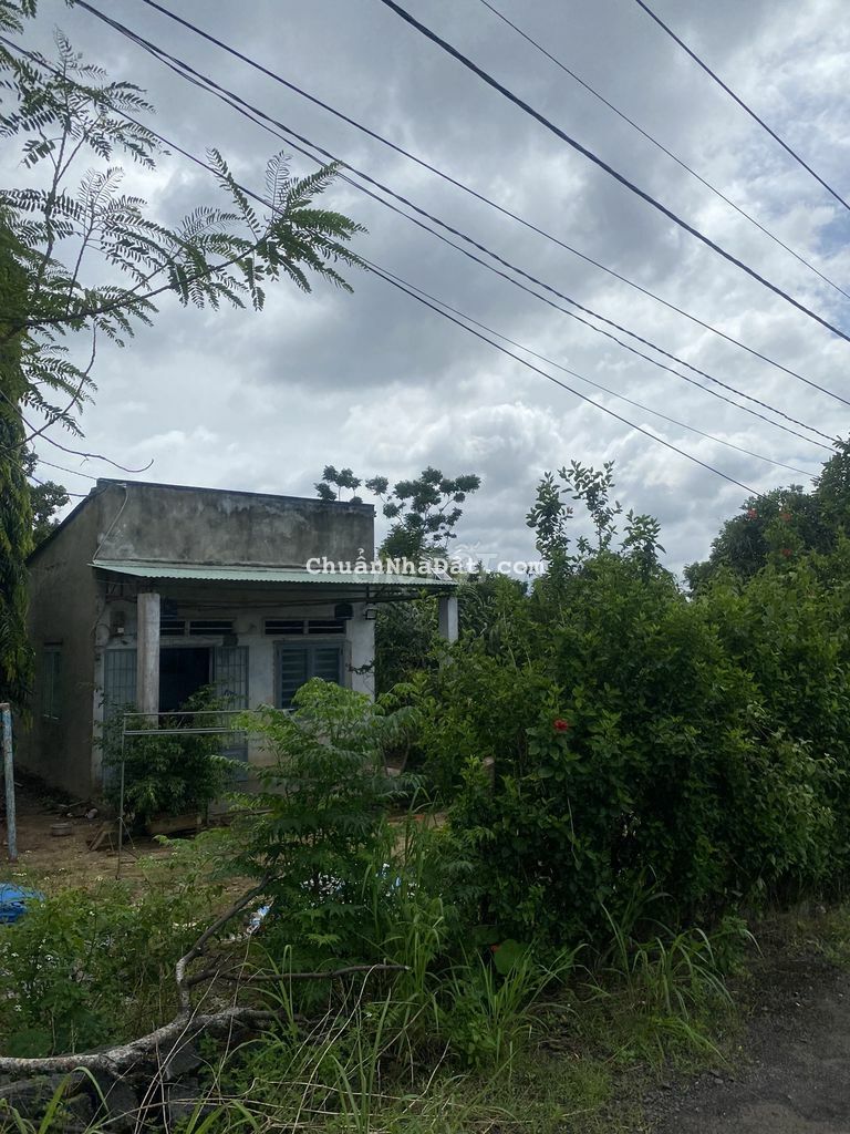 Đất Xuân Thọ Long Khánh 750tr/sào khu dân cư, full hồng Đất Xuân Thọ Long Khánh 750tr/sào khu dân cư, full hồng