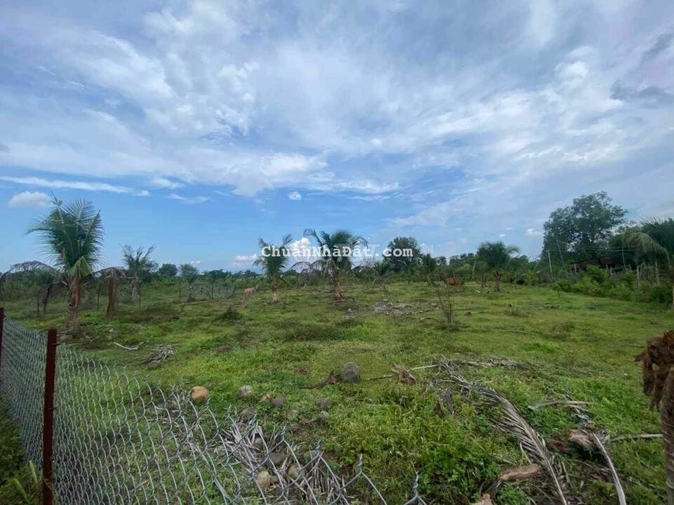 Bán gấp 2 sào Xuân Thọ Long Khánh hiện hữu dân cư 1,5tỷ Bán gấp 2 sào Xuân Thọ Long Khánh hiện hữu dân cư 1,5tỷ