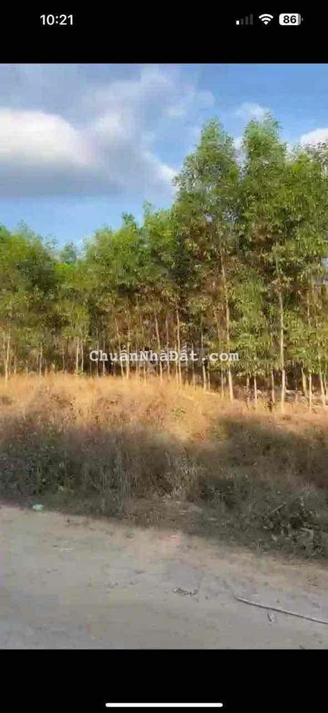 Bán lô đất Quốc Lộ 1A, Xuân Hưng, H.Xuân Lộc, Đồng Nai