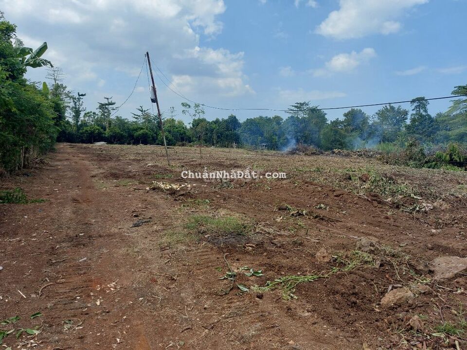 Kẹt tiền bán 3700m2 Xuân Thọ cạnh DT763 chỉ 1,5tỷ Kẹt tiền bán 3700m2 Xuân Thọ cạnh DT763 chỉ 1,5tỷ