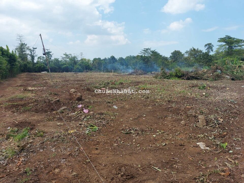 Kẹt tiền bán 3700m2 Xuân Thọ cạnh DT763 chỉ 1,5tỷ Kẹt tiền bán 3700m2 Xuân Thọ cạnh DT763 chỉ 1,5tỷ