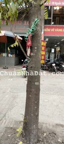 Giảm giá bán gấp giá rẻ đất chia lô, mặt Chợ kinh doanh, ô tô đỗ, 110m, mt 4.5m, 1 tỷ Bắc Giang.