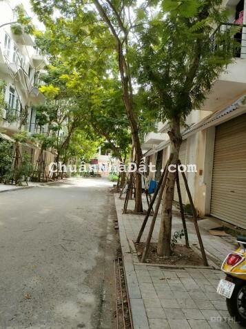 Bán gấp giá rẻ đất mặt đường liên xã chia lô 130m,đất,mặt tiền 5m,1.1 tỷ Lục Ngạn,Bắc Giang.