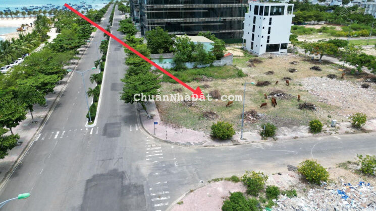 Bán đất đường Nguyễn Cơ Thạch KĐT mới Vĩnh Hoà Phường Vĩnh Hoà Nha trang, 872,8m2 ( ngang 21,98m) Bán đất đường Nguyễn Cơ Thạch KĐT mới Vĩnh Hoà Phường Vĩnh Hoà Nha trang, 872,8m2 ( ngang 21,98m)