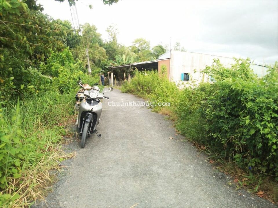 Đất 5.3x25 thổ cư Lộ nhựa 4m Rạch Phê Ô Môn Đất 5.3x25 thổ cư Lộ nhựa 4m Rạch Phê Ô Môn