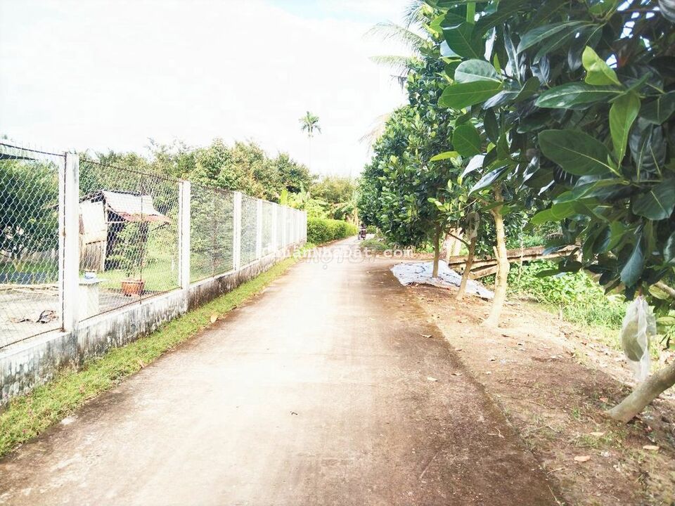 Đất 4x36 thổ cư lộ 4m Rạch Đất Sét Trường Lạc Ô Môn