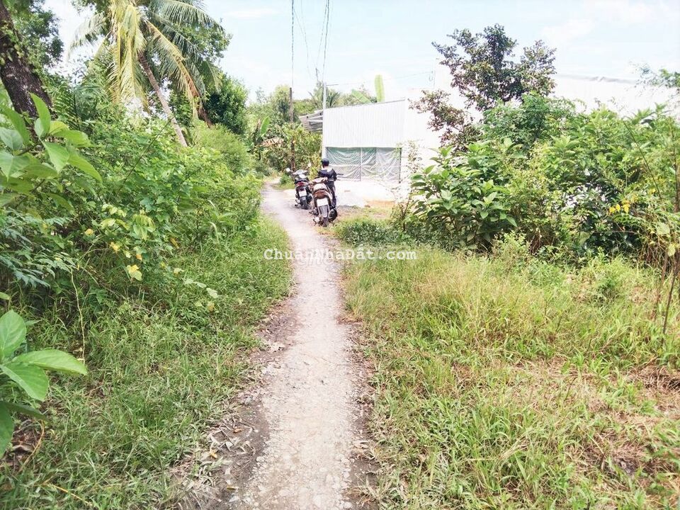 Đất 9.1x16 Hẻm ô tô Quốc Lộ 91B Trường Lạc Ô Môn Đất 9.1x16 Hẻm ô tô Quốc Lộ 91B Trường Lạc Ô Môn