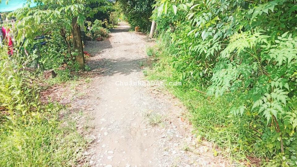 Đất 9.1x16 Hẻm ô tô Quốc Lộ 91B Trường Lạc Ô Môn Đất 9.1x16 Hẻm ô tô Quốc Lộ 91B Trường Lạc Ô Môn