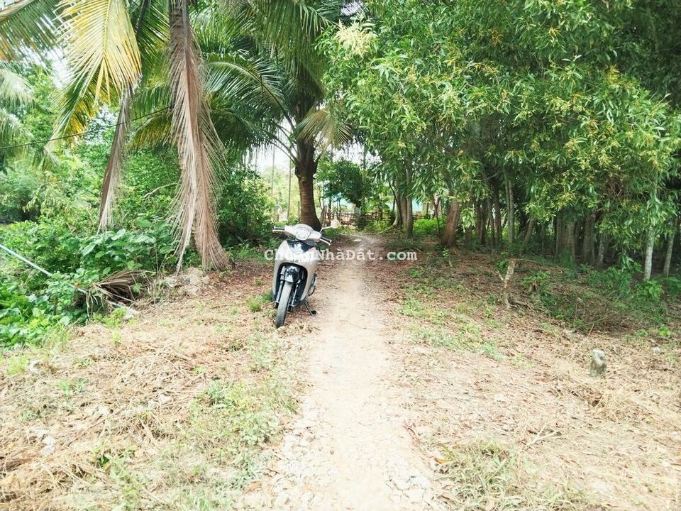 Đất 5x40 thổ cư Cập Rạch Trà Keo Trường Lạc Ô Môn