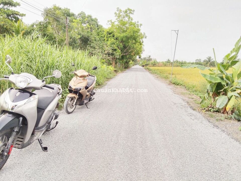 Đất 4x39 thổ cư nở hậu Lộ nhựa 5m nhà đông hẻm Bình Lập Ô Môn Đất 4x39 thổ cư nở hậu Lộ nhựa 5m nhà đông hẻm Bình Lập Ô Môn