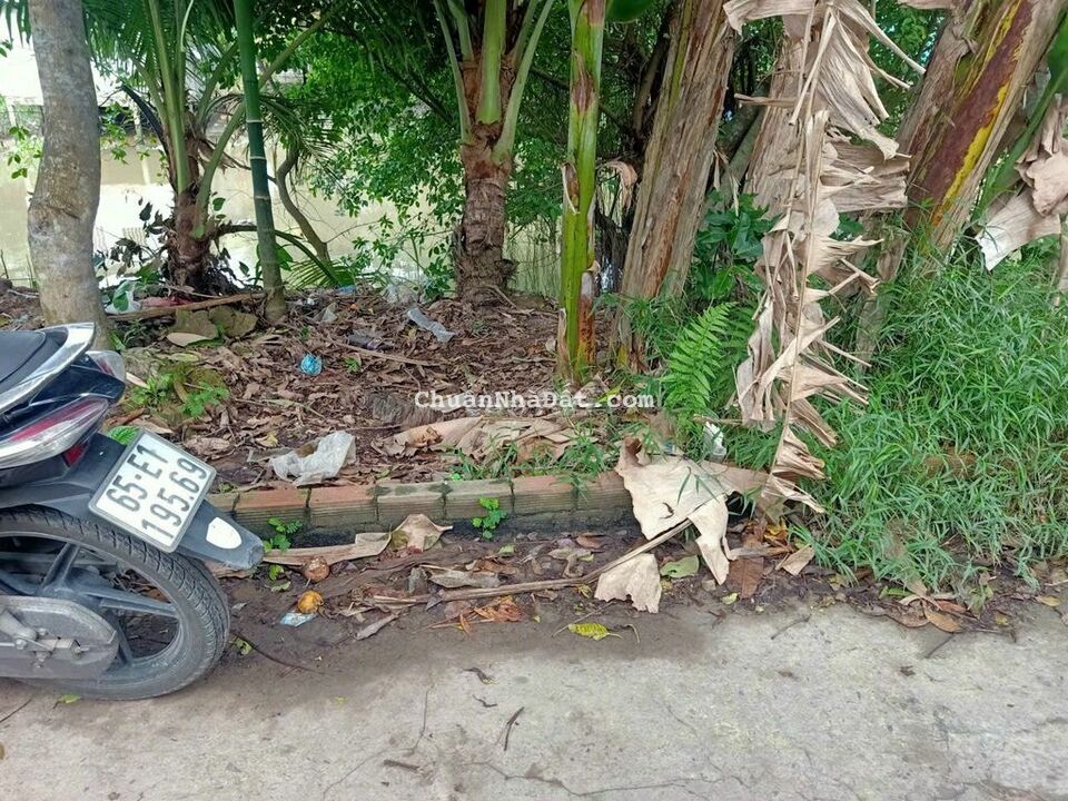 Nền giá rẻ gần KCN Trà Nóc có thổ, nở hậu không vướn, xây nhà ngay Nền giá rẻ gần KCN Trà Nóc có thổ, nở hậu không vướn, xây nhà ngay