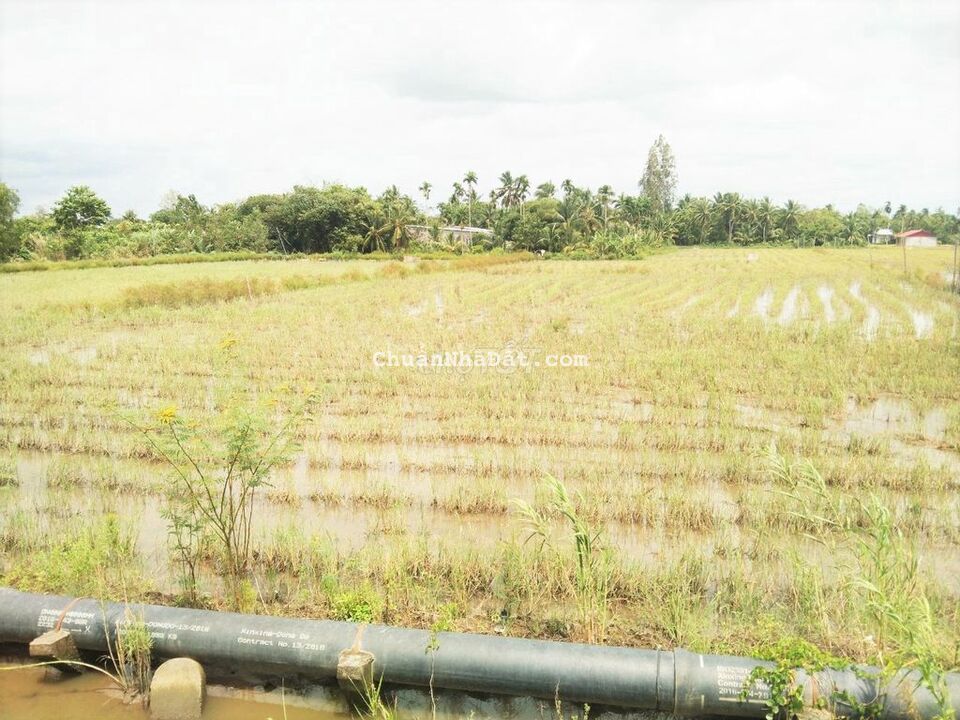 Đất 42x65 mặt tiền Quốc Lộ 91B đoạn cầu Ông Xe