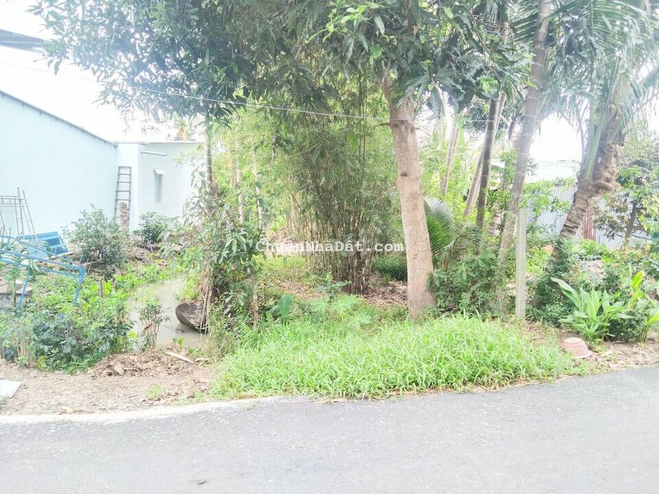 Đất 5.5x65 tổng 401m2 hẻm nhựa Tỉnh Lộ 923 gần chợ Ba Se Đất 5.5x65 tổng 401m2 hẻm nhựa Tỉnh Lộ 923 gần chợ Ba Se