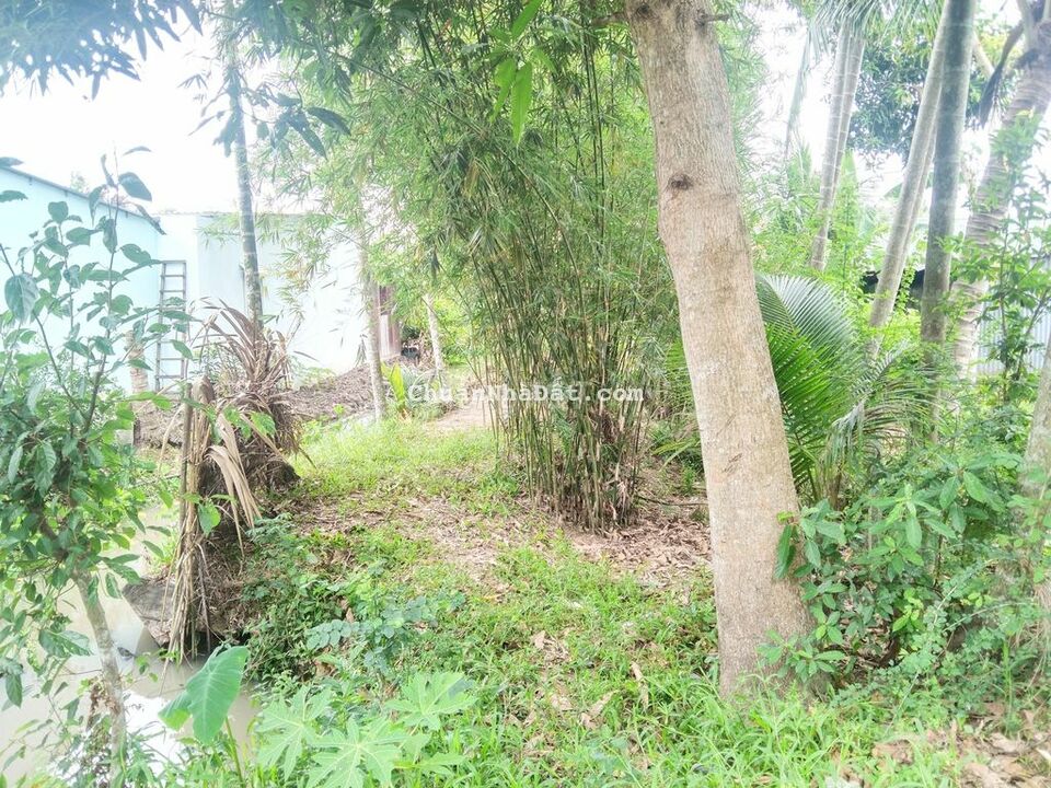 Đất 5.5x65 tổng 401m2 hẻm nhựa Tỉnh Lộ 923 gần chợ Ba Se Đất 5.5x65 tổng 401m2 hẻm nhựa Tỉnh Lộ 923 gần chợ Ba Se