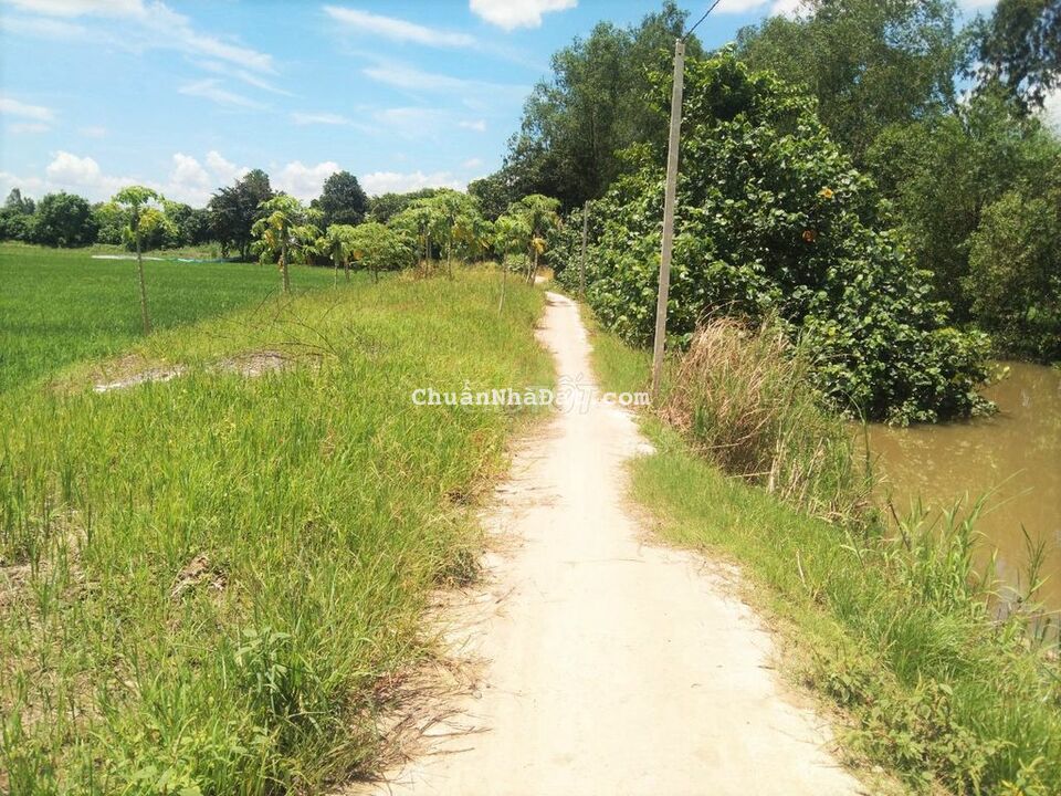 Đất 11x36 Lộ nhỏ Cập Kênh gần lộ lớn ô tô