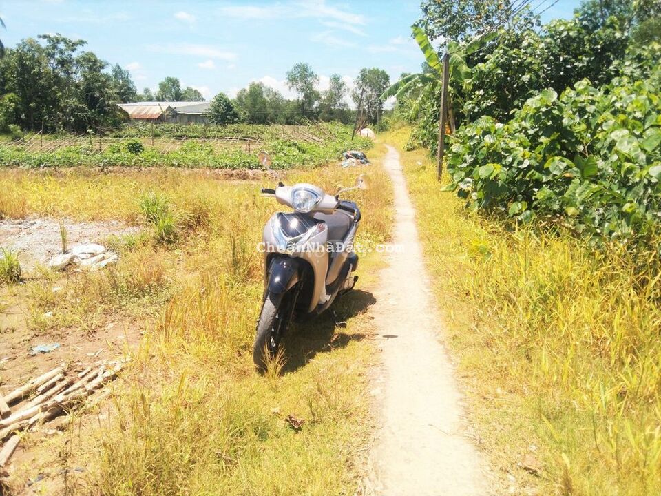 Đất 11x36 Lộ nhỏ Cập Kênh gần lộ lớn ô tô