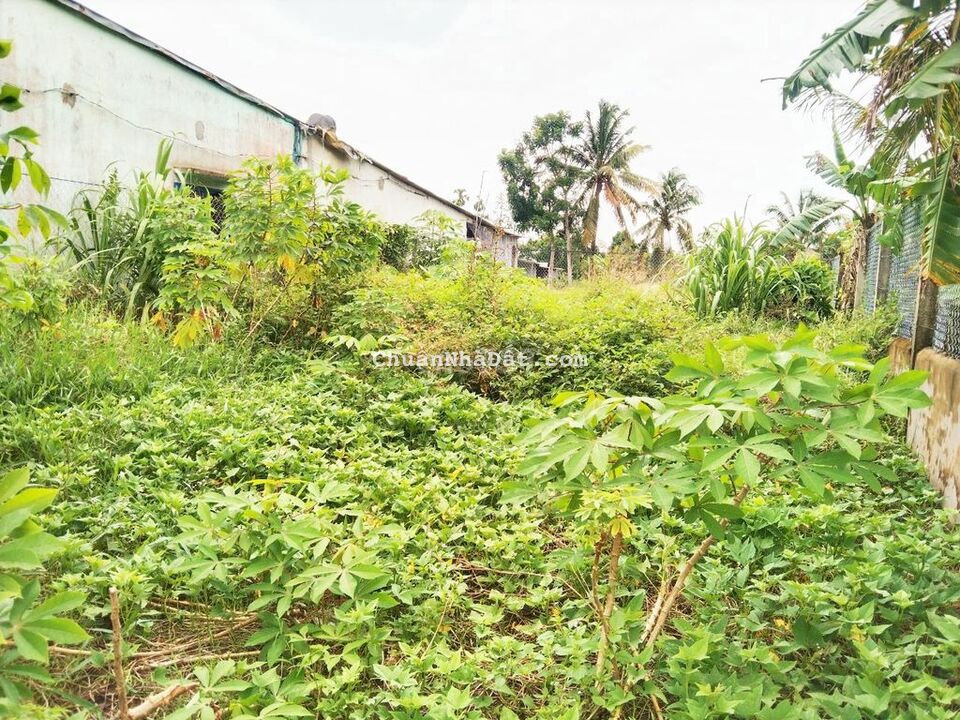 Đất 8x11 thổ cư Rạch Tắc Ông Thục Lộ 922 Trường Lạc Đất 8x11 thổ cư Rạch Tắc Ông Thục Lộ 922 Trường Lạc