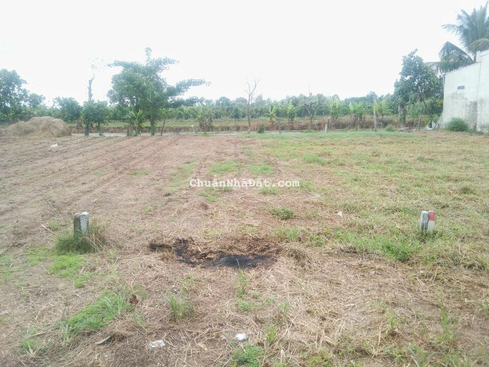 Đất 4x24 thổ cư KDC Cán bộ Giáo Viên Ô Môn Lộ nhựa 6m Đất 4x24 thổ cư KDC Cán bộ Giáo Viên Ô Môn Lộ nhựa 6m