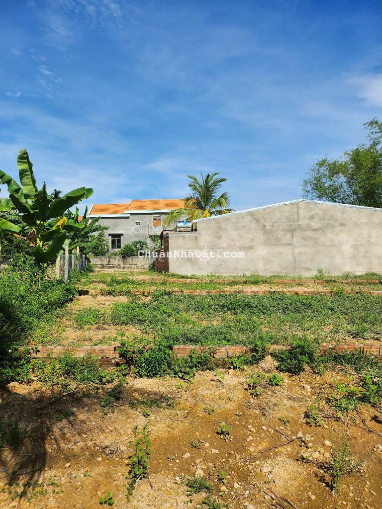 Ngay chợ Điện Phong đường 5m_300m2 làm nhà vườn hay kho xưởng