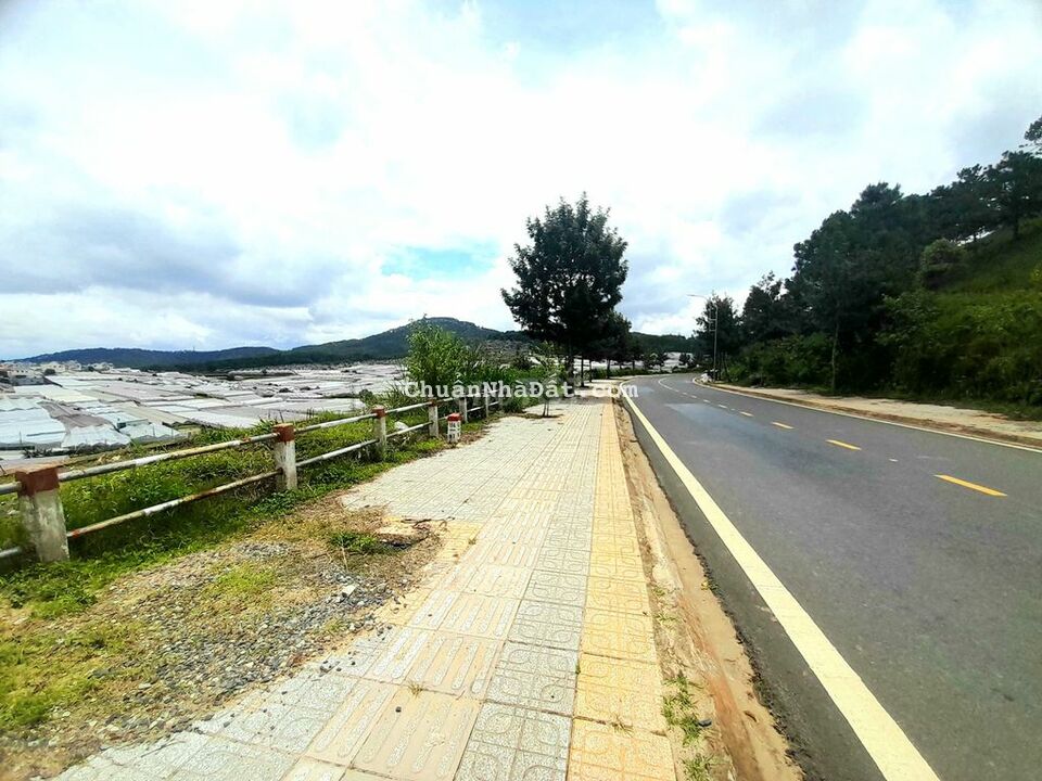 Bán đất view đẹp trung tâm Đà Lạt, sổ riêng 1000m đất sạch