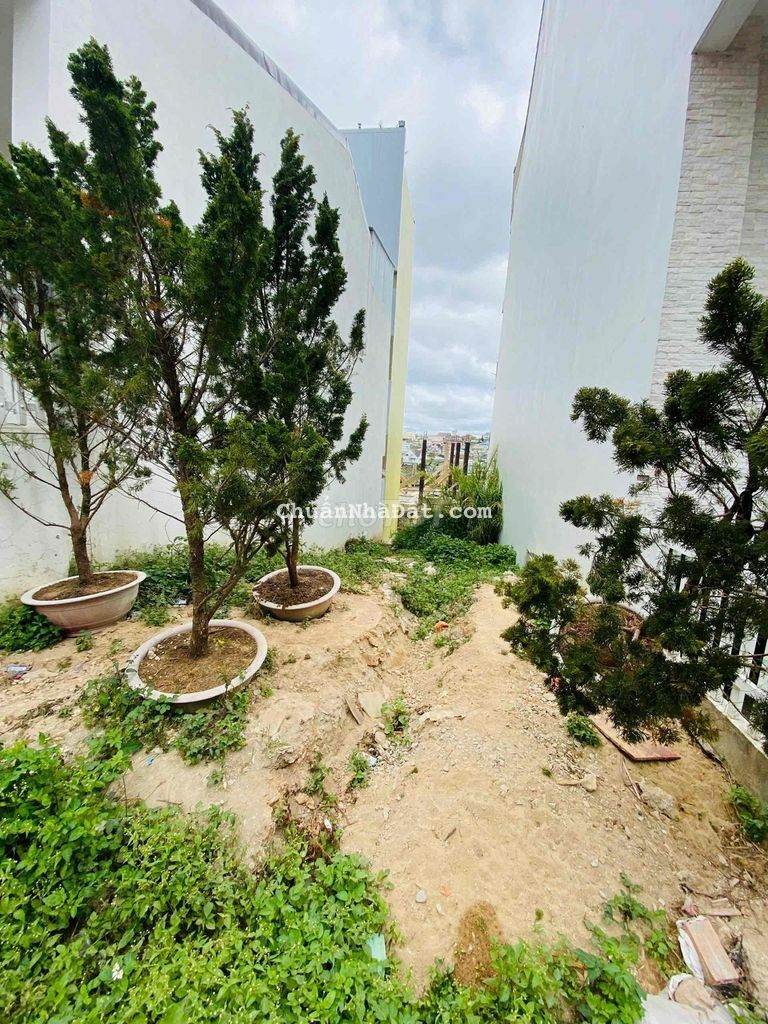 🏡Đất Ngay Đại Học Đà Lạt - Thông Thiên Học - Ô Tô Vào Tận Nơi - 6.8 Tỷ