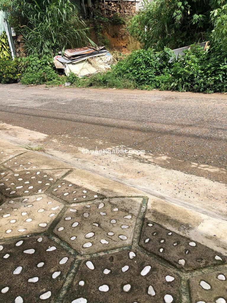 lô đất đẹp chờ chủ đẹp