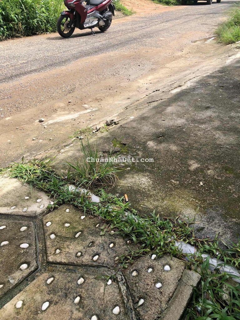 lô đất đẹp chờ chủ đẹp