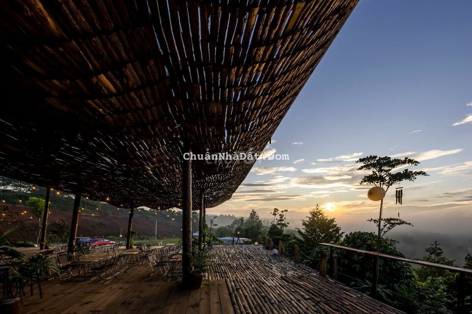 Đất view rừng thông 1200m2 có 200m2 thổ cư