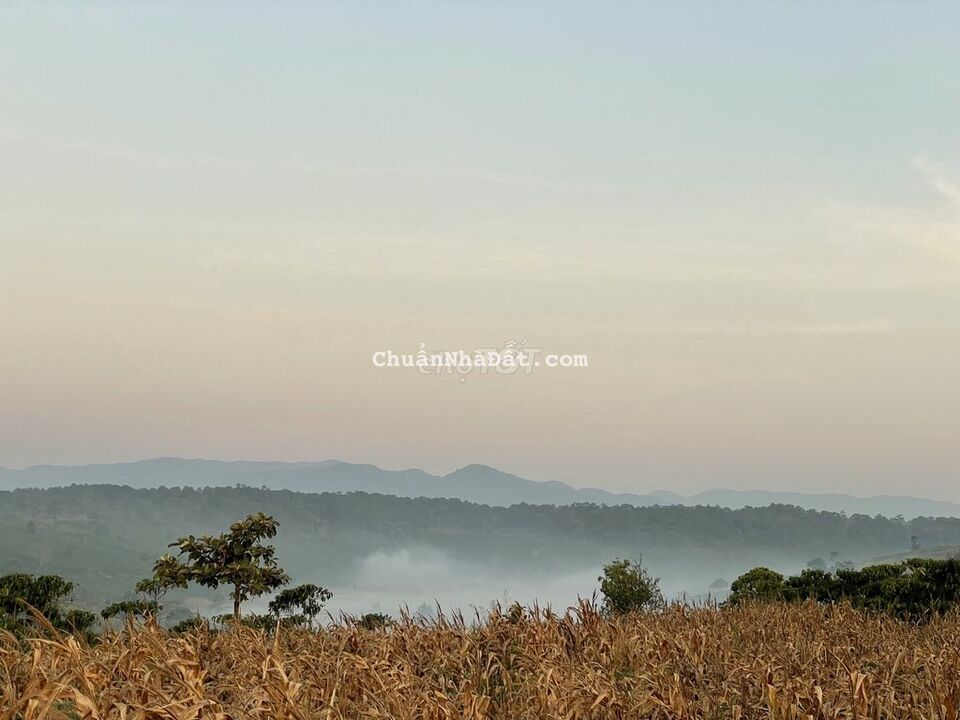 Đất view rừng thông 1200m2 có 200m2 thổ cư