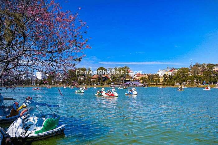 Bán đất hai mặt tiền đường Lê Lai view hồ Đà Lạt